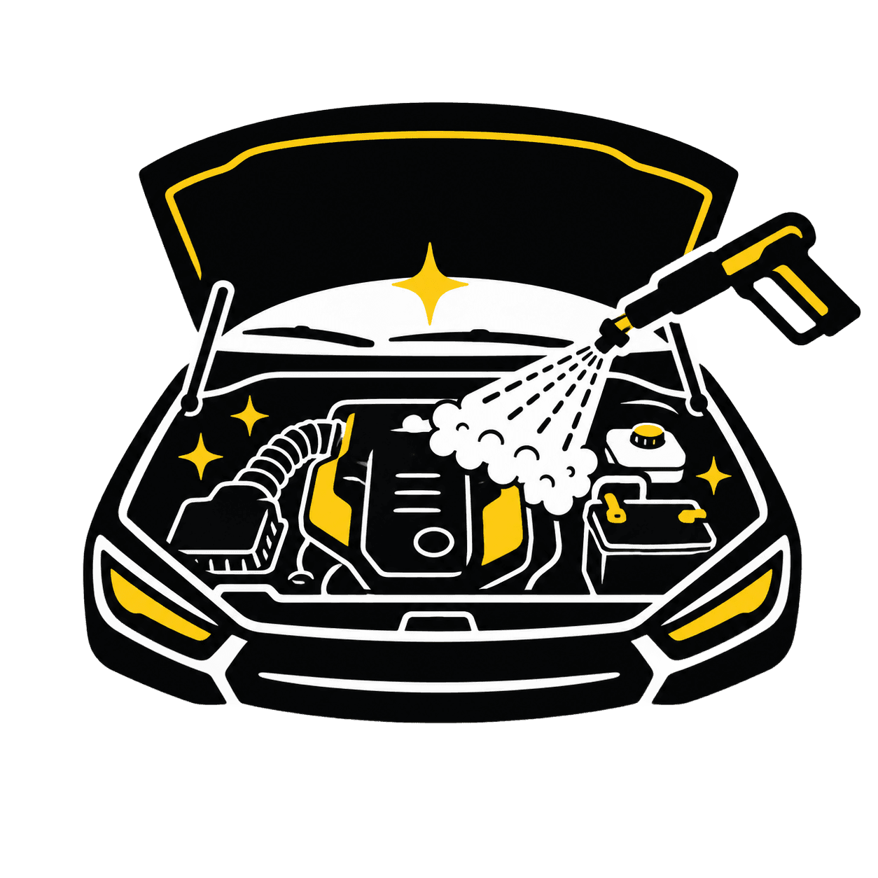 Engine Bay Cleaning